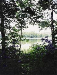 Bicānu ezera krasts pie Gelenovas parka